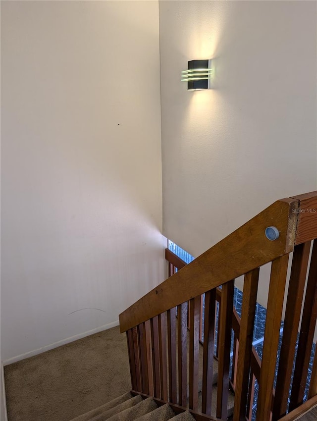 8114 Oak Trace Way Unit D, Tampa, FL 33634 - staircase with carpet flooring and baseboards