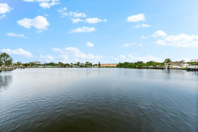 8848 Sunlit Cove Dr NE, Saint Petersburg, FL 33702 - water view