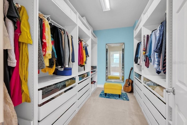 walk in closet with light colored carpet