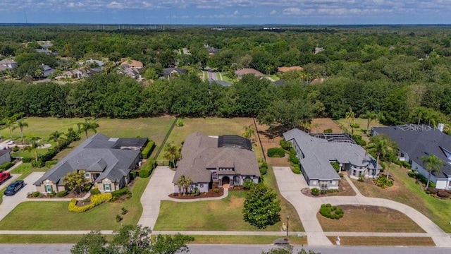 5507 Keeler Oak St, Lithia, FL 33547 - aerial view of residential area