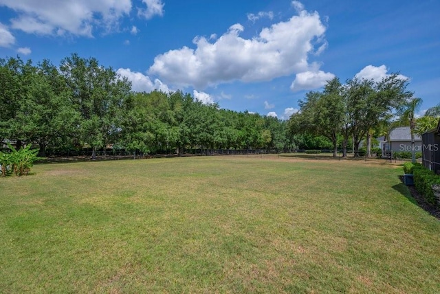 5507 Keeler Oak St, Lithia, FL 33547 - view of yard