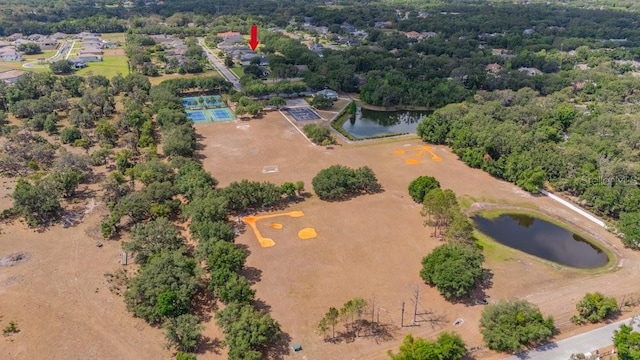 5507 Keeler Oak St, Lithia, FL 33547 - aerial view of a nearby body of water