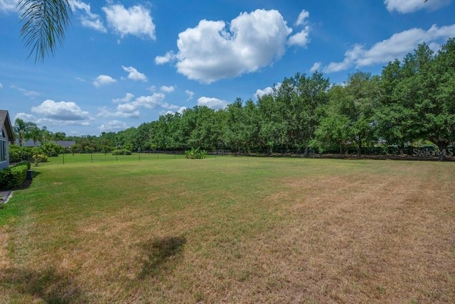 5507 Keeler Oak St, Lithia, FL 33547 - view of yard
