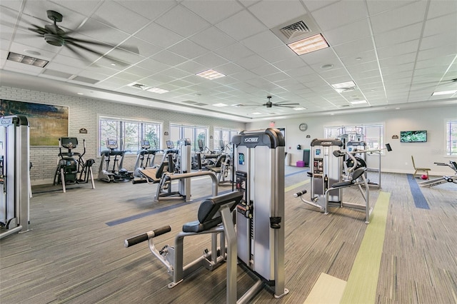 16101 Cape Coral Dr, Wimauma, FL 33598 - exercise room featuring ceiling fan, carpet floors, a drop ceiling, and baseboards