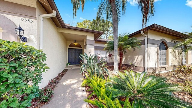 9535 Norchester Cir, Tampa, FL 33647 - photo 45