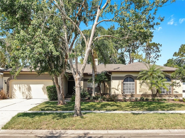 9535 Norchester Cir, Tampa, FL 33647 - photo 46