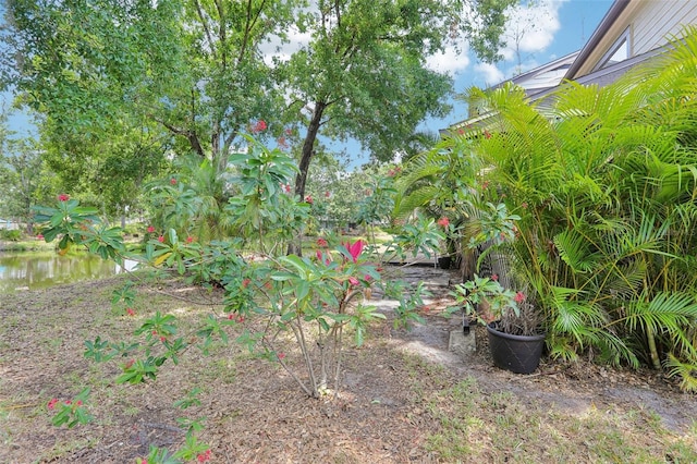 330 Woods Landing Trl, Oldsmar, FL 34677 - view of yard