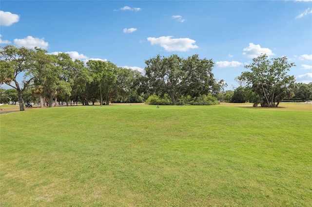 330 Woods Landing Trl, Oldsmar, FL 34677 - surrounding community featuring a yard