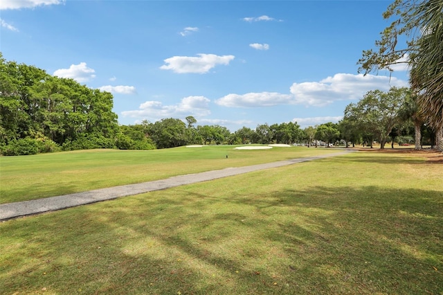 330 Woods Landing Trl, Oldsmar, FL 34677 - view of home's community with golf course view, view of scattered trees, and a yard