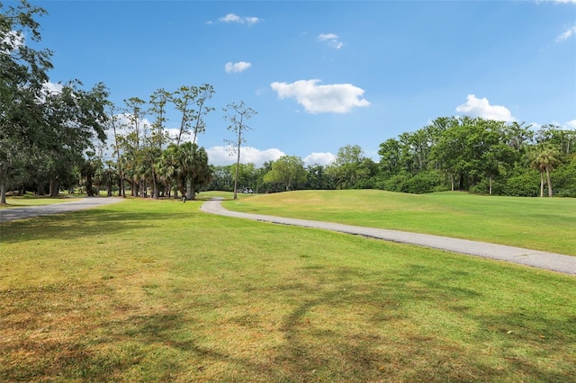 330 Woods Landing Trl, Oldsmar, FL 34677 - view of home's community with view of wooded area, a yard, and golf course view