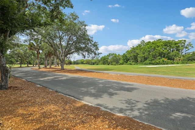 330 Woods Landing Trl, Oldsmar, FL 34677 - view of street featuring view of wooded area