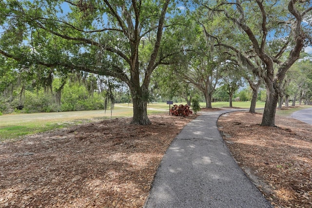 330 Woods Landing Trl, Oldsmar, FL 34677 - view of community