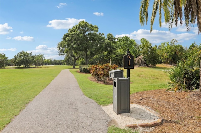 330 Woods Landing Trl, Oldsmar, FL 34677 - view of home's community featuring a lawn and view of scattered trees
