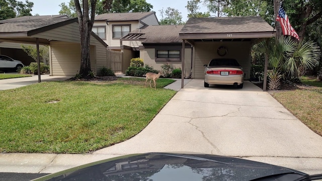 330 Woods Landing Trl, Oldsmar, FL 34677 - view of front of house featuring concrete driveway, a front yard, a shingled roof, and an attached carport