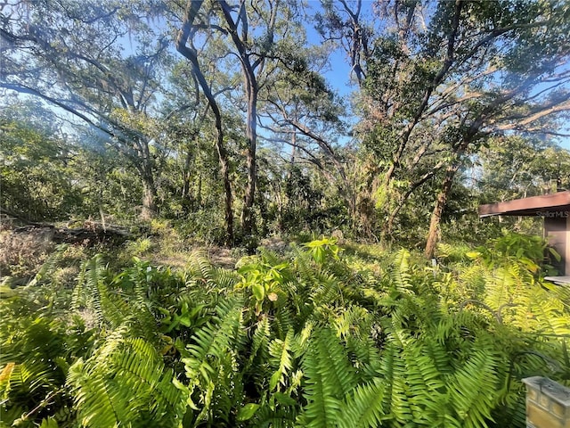 6073 115th Ave N, Pinellas Park, FL 33782 - view of yard