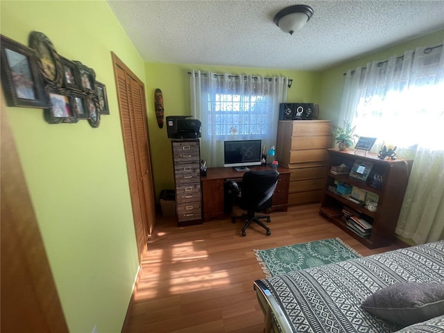 6073 115th Ave N, Pinellas Park, FL 33782 - office featuring a textured ceiling and light wood-type flooring