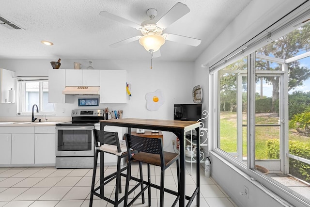 2413 Oxford Down Ct Unit 58, Sun City Center, FL 33573 - kitchen with stainless steel range with electric stovetop, a sink, under cabinet range hood, light countertops, and a textured ceiling
