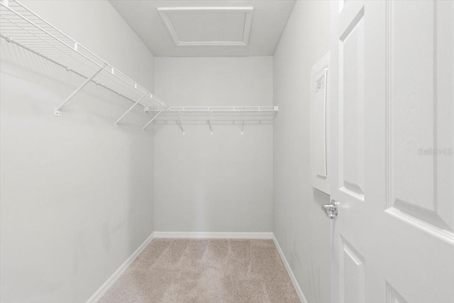 walk in closet featuring attic access and carpet flooring