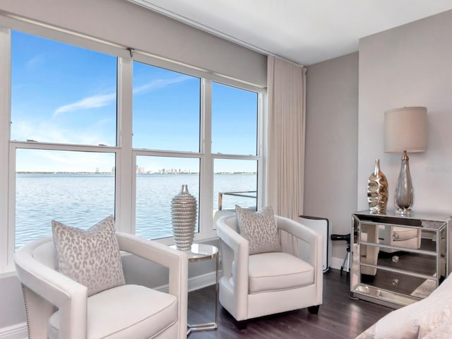 2807 W Hawthorne Rd Unit 11, Tampa, FL 33611 - living area with dark wood-type flooring, a water view, and baseboards