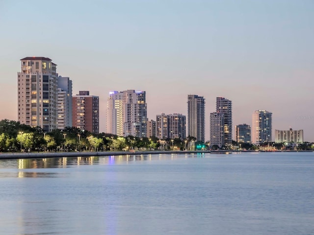 2807 W Hawthorne Rd Unit 11, Tampa, FL 33611 - water view featuring a view of skyline