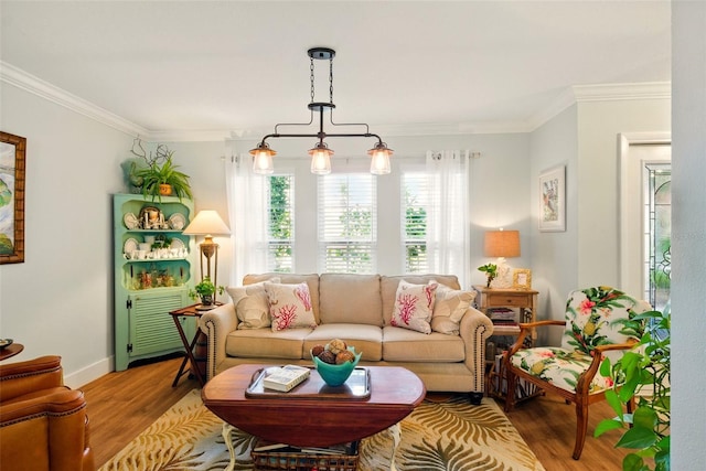 living area with wood finished floors, ornamental molding, and baseboards