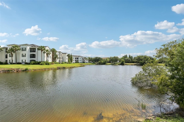 1119 Ballard Green Pl, Brandon, FL 33511 - water view