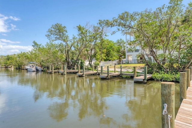 dock area with a water view