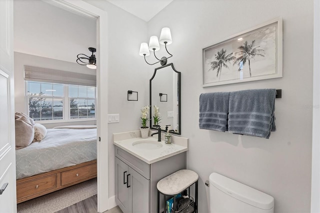 ensuite bathroom featuring toilet and vanity