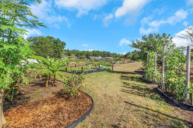 view of grassy yard with a vegetable garden