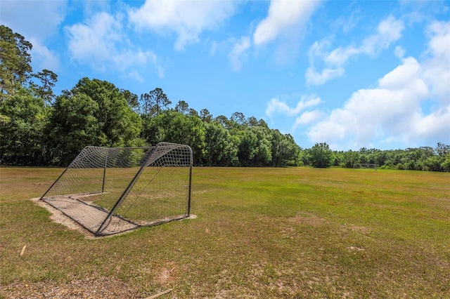 view of yard featuring an area for sports and a forest view