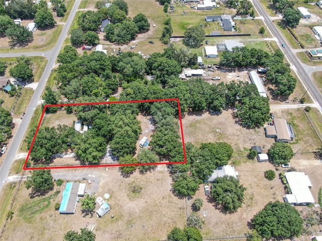 12009 Glenshire Dr, Riverview, FL 33579 - photo 4