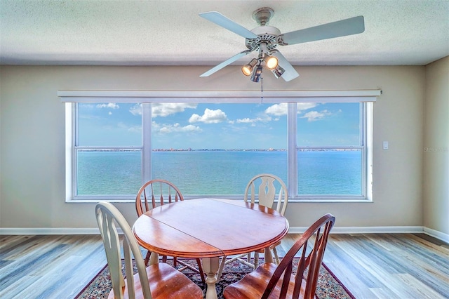 6020 Shore Blvd S Unit 503, Gulfport, FL 33707 - photo 6