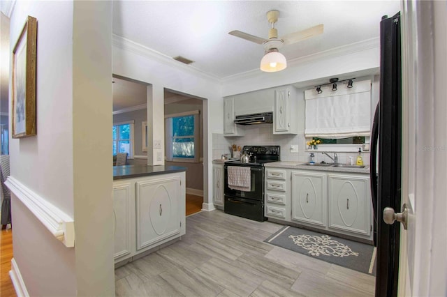 kitchen featuring black range with electric cooktop, ventilation hood, a sink, ornamental molding, and ceiling fan