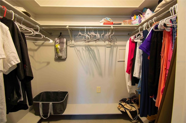 spacious closet featuring carpet flooring