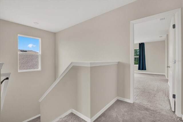 10379 Bridgegate Heights Loop, San Antonio, FL 33576 - corridor with an upstairs landing, carpet, healthy amount of natural light, and baseboards