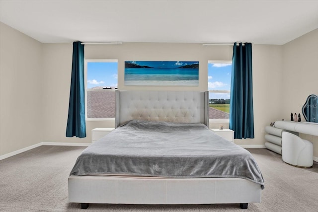 10379 Bridgegate Heights Loop, San Antonio, FL 33576 - carpeted bedroom with baseboards