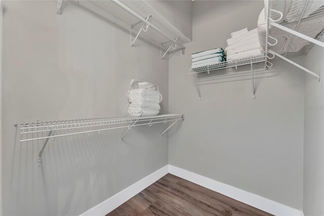 1530 The Oaks Blvd, Kissimmee, FL 34746 - walk in closet with dark wood finished floors
