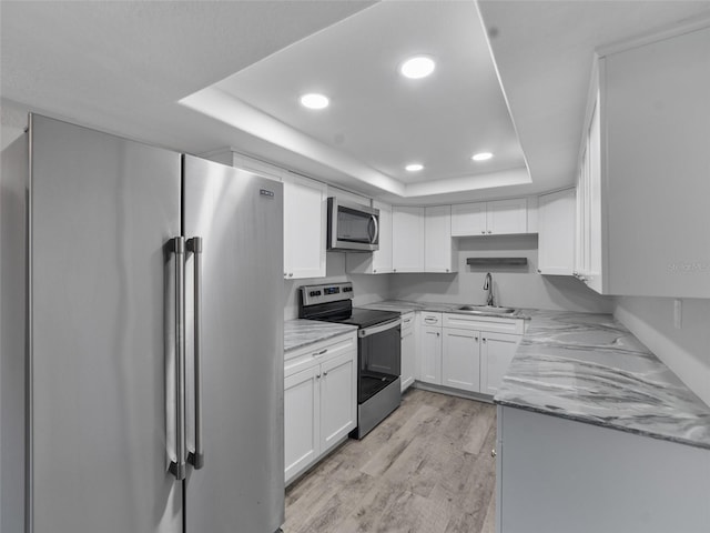 4238 Glissade Dr, New Port Richey, FL 34652 - kitchen featuring stainless steel appliances, a tray ceiling, light wood-type flooring, recessed lighting, and a sink