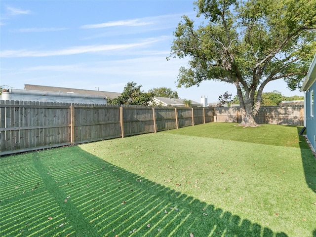 4238 Glissade Dr, New Port Richey, FL 34652 - view of yard