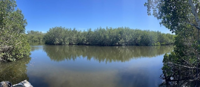 water view with a forest