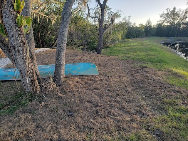 view of green lawn