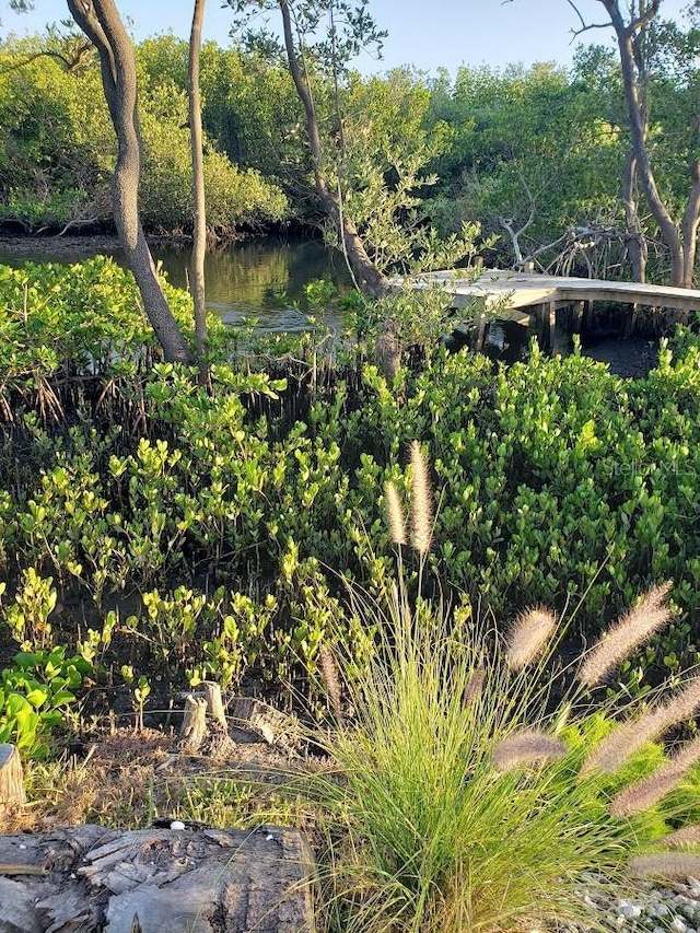 view of undeveloped land