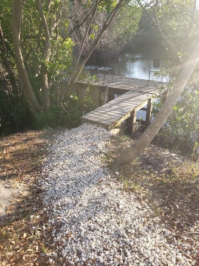 view of yard with a boat dock
