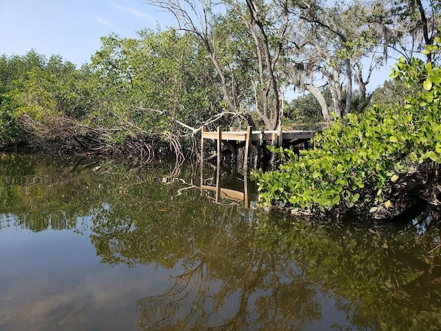 dock with a water view