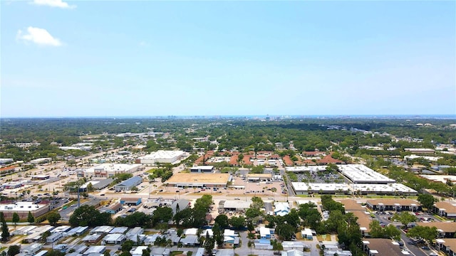 101 S Maywood Ave, Clearwater, FL 33765 - photo 9