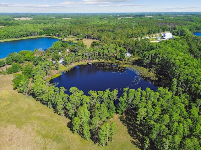 18509 Jiretz Rd, Odessa, FL 33556