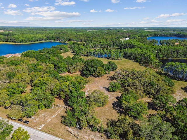 18509 Jiretz Rd, Odessa, FL 33556