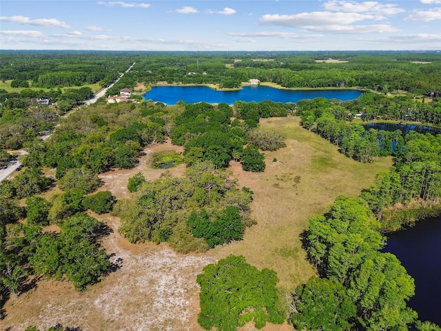18509 Jiretz Rd, Odessa, FL 33556