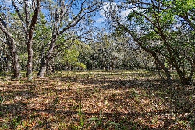 18509 Jiretz Rd, Odessa, FL 33556