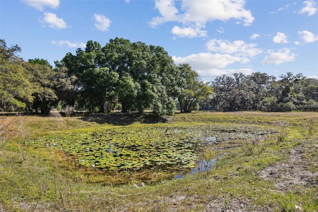 18509 Jiretz Rd, Odessa, FL 33556